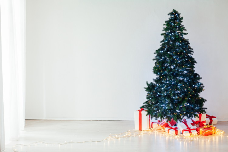 The Ultimate Christmas Tree Buying & Care Guide - The Krazy Coupon Lady