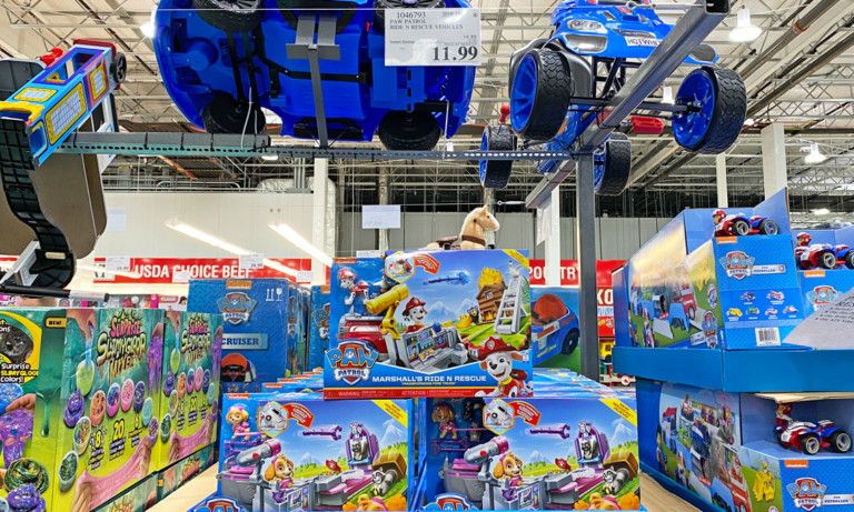 paw patrol set costco