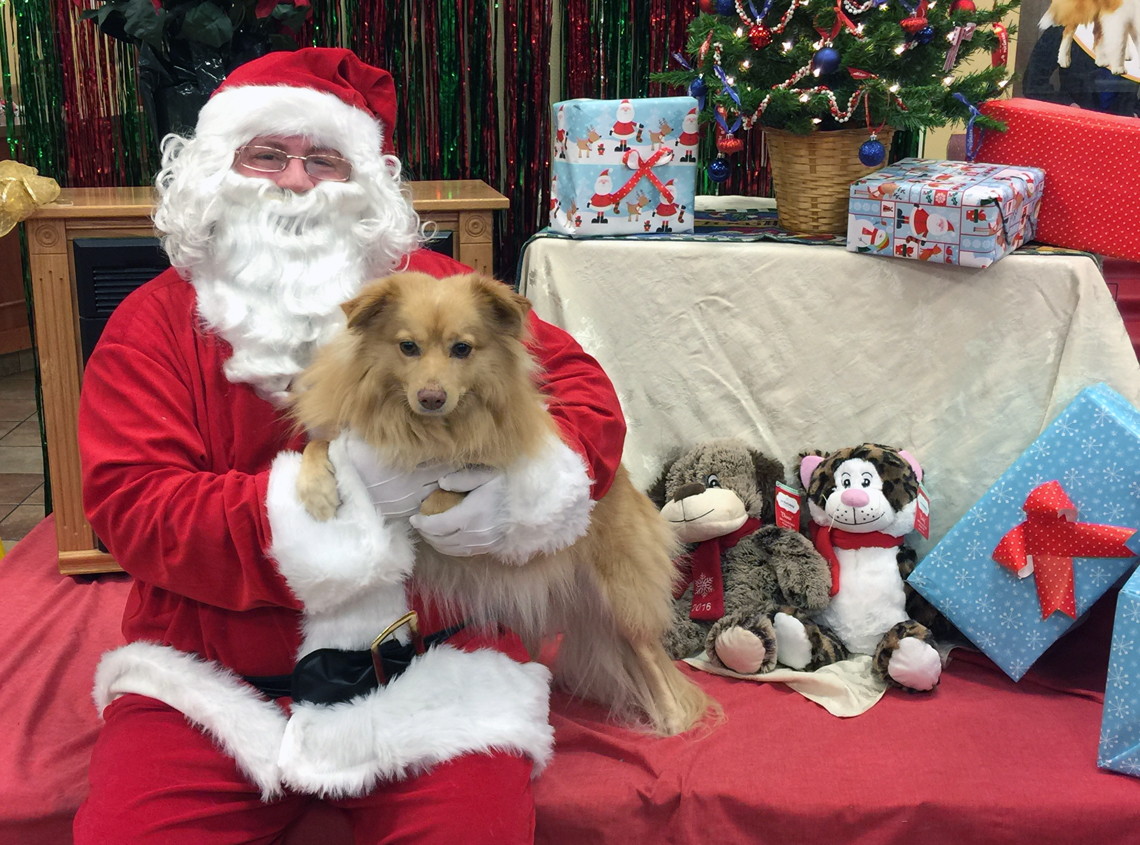 santa at petsmart near me