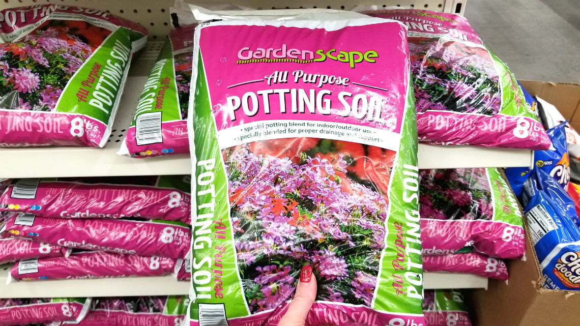 Does Dollar General Carry Potting Soil - New Dollar ...