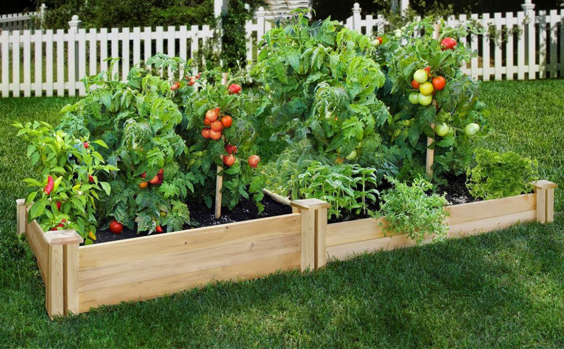 Raised Garden Beds As Low As 55 At Home Depot The Krazy Coupon