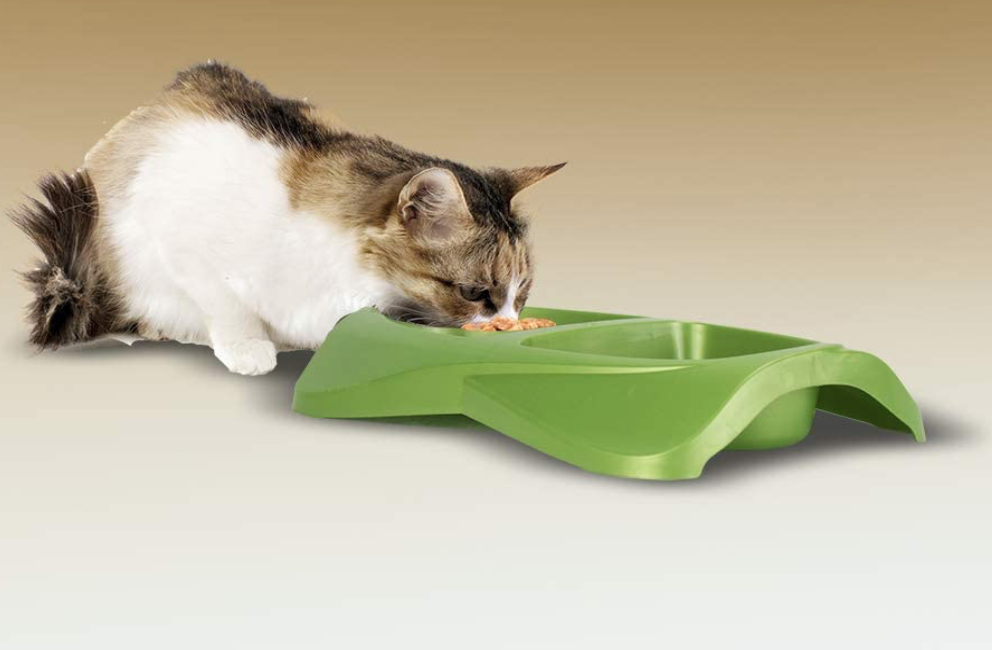 special kitty coupons