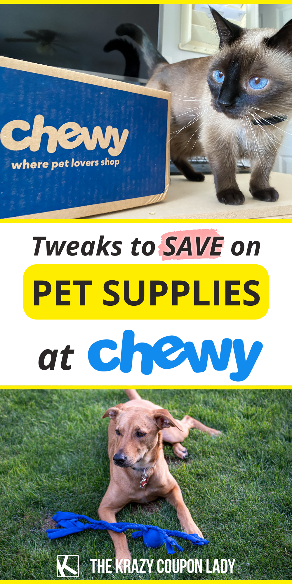 A Chewy Discount Can Be Hard to Come By But There Are Ways to