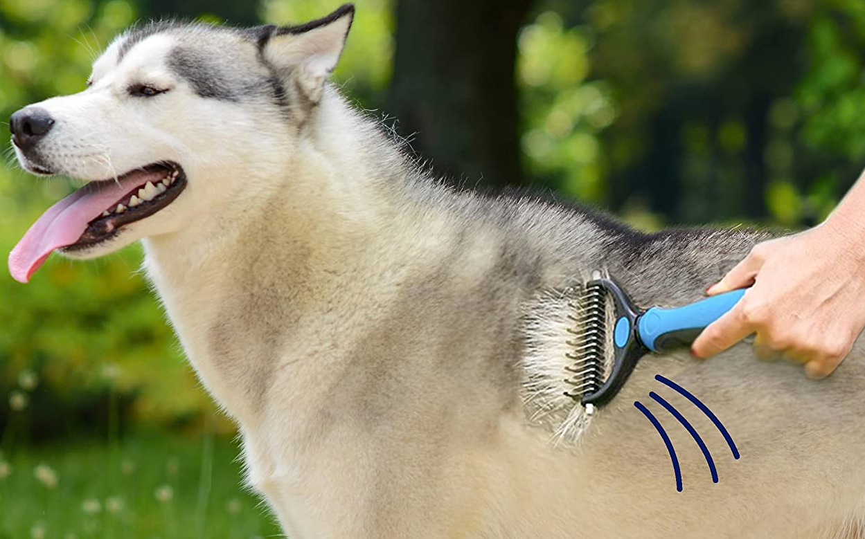 what is the best brush for a husky