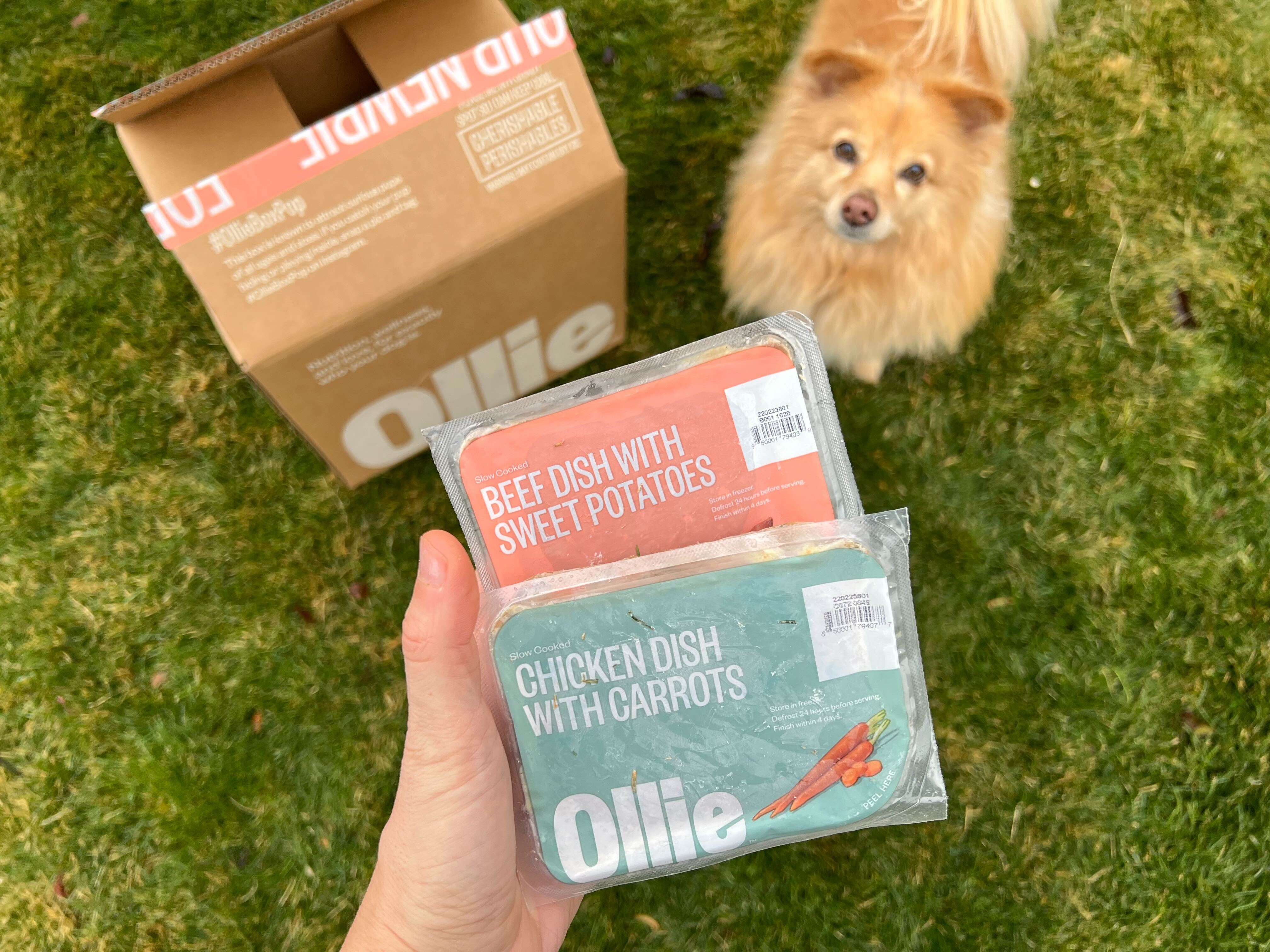 Where Is Ollie Dog Food Located Where Is Ollie Dog Food Located