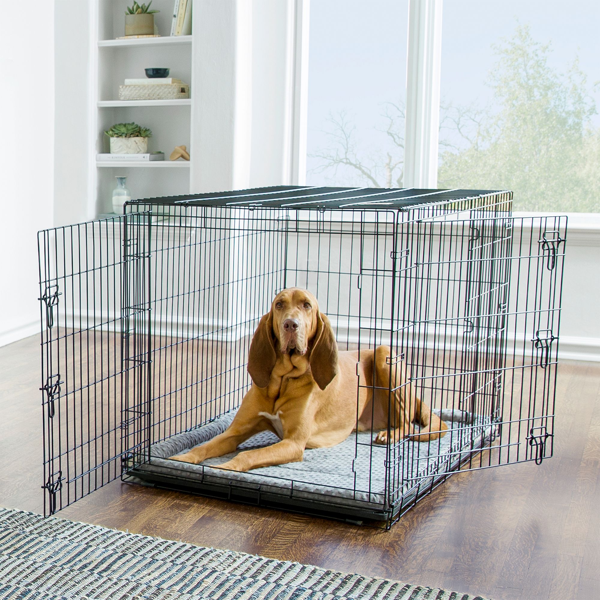 black friday dog crate sale