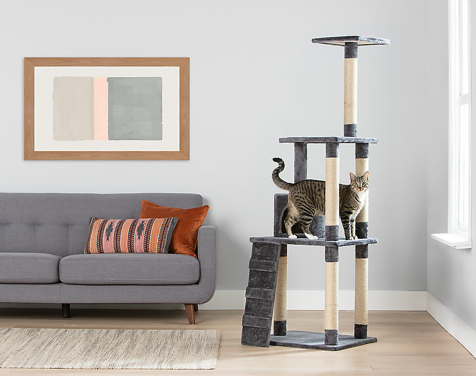 Petsmart Cat Tree Sale