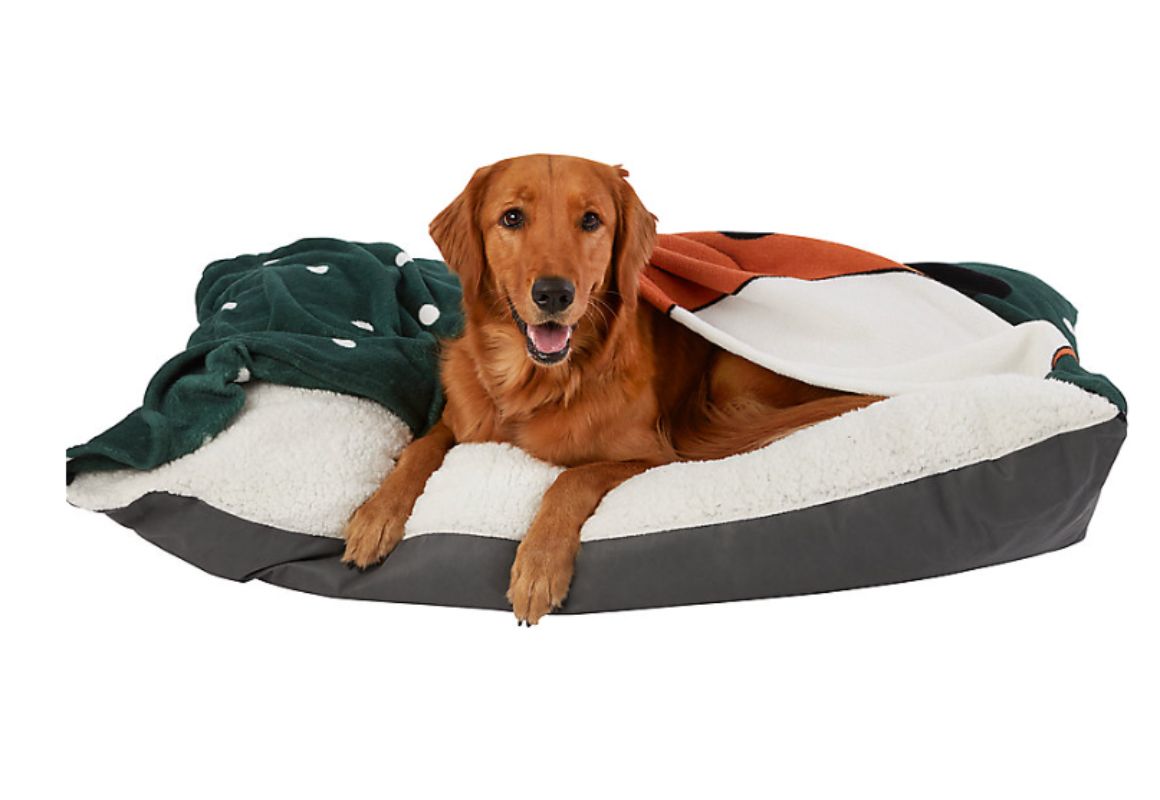 christmas tree dog bed petsmart