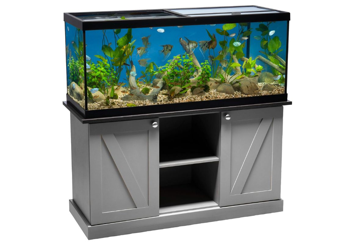 petsmart 36 gallon aquarium