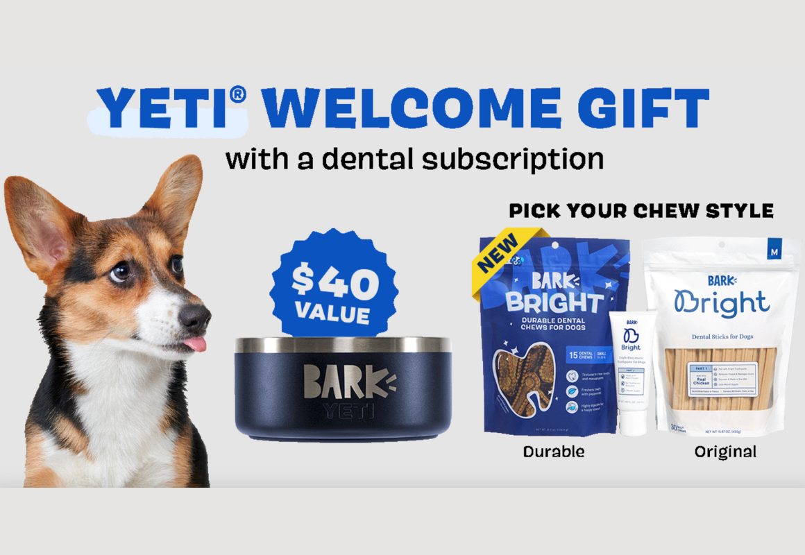 YETI Dog Bowl Review: Get It FREE With A BarkBox OR Super Chewer