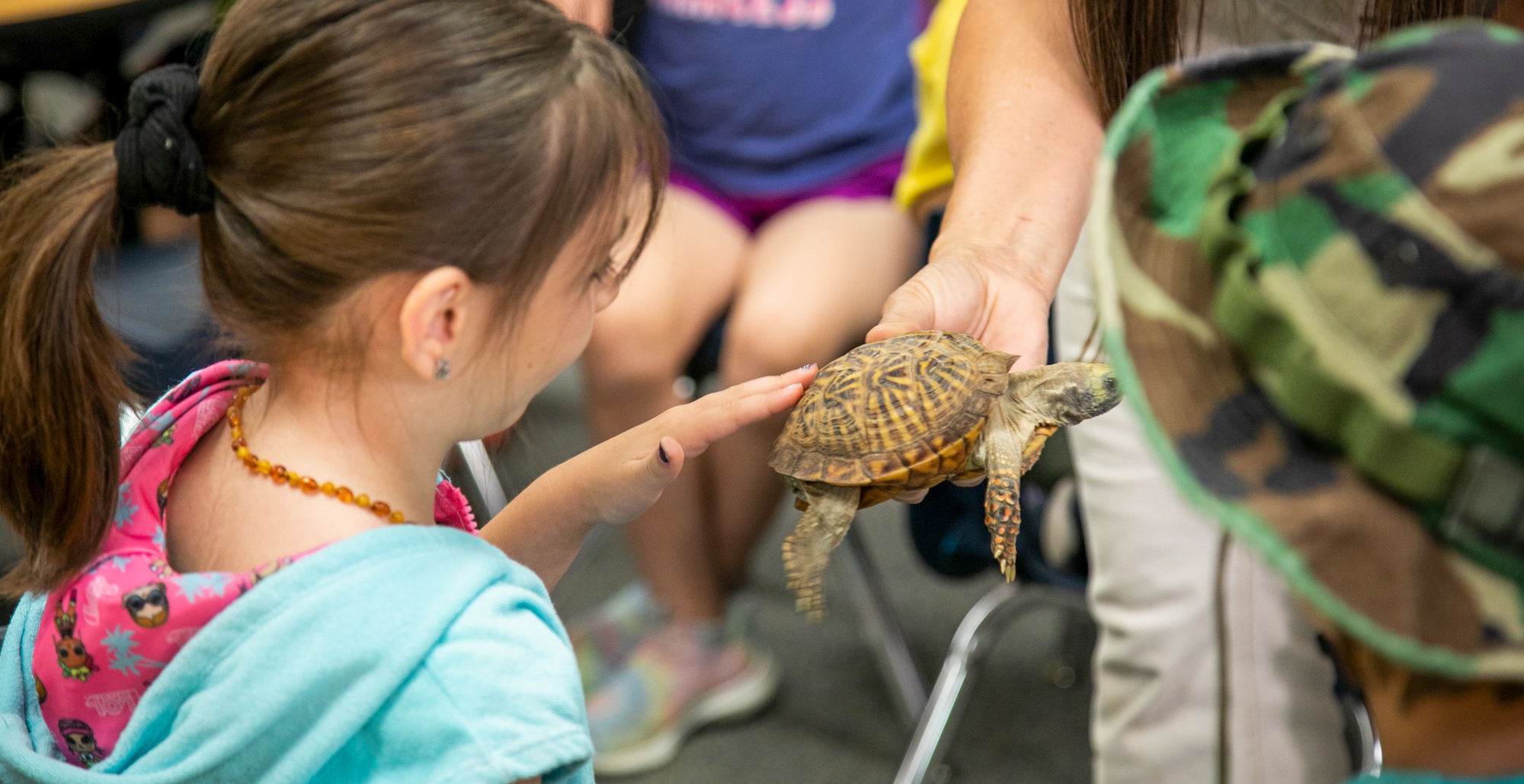 This Grant Helps Teachers Get Classroom Pets for the 2023 School